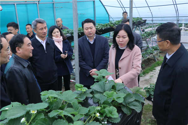 “質(zhì)量興農(nóng)萬里行”陜西站活動花落安康、走進(jìn)漢濱、風(fēng)起陽晨